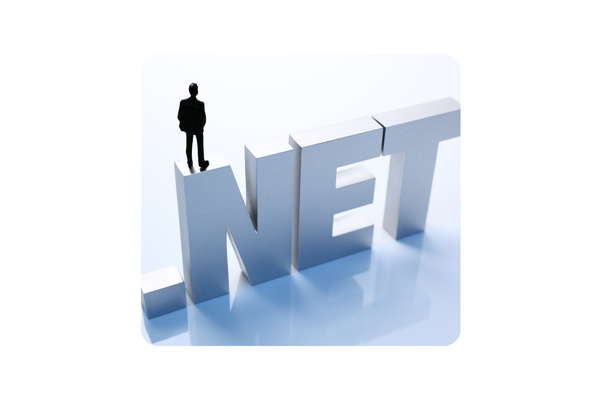 .NET Development
